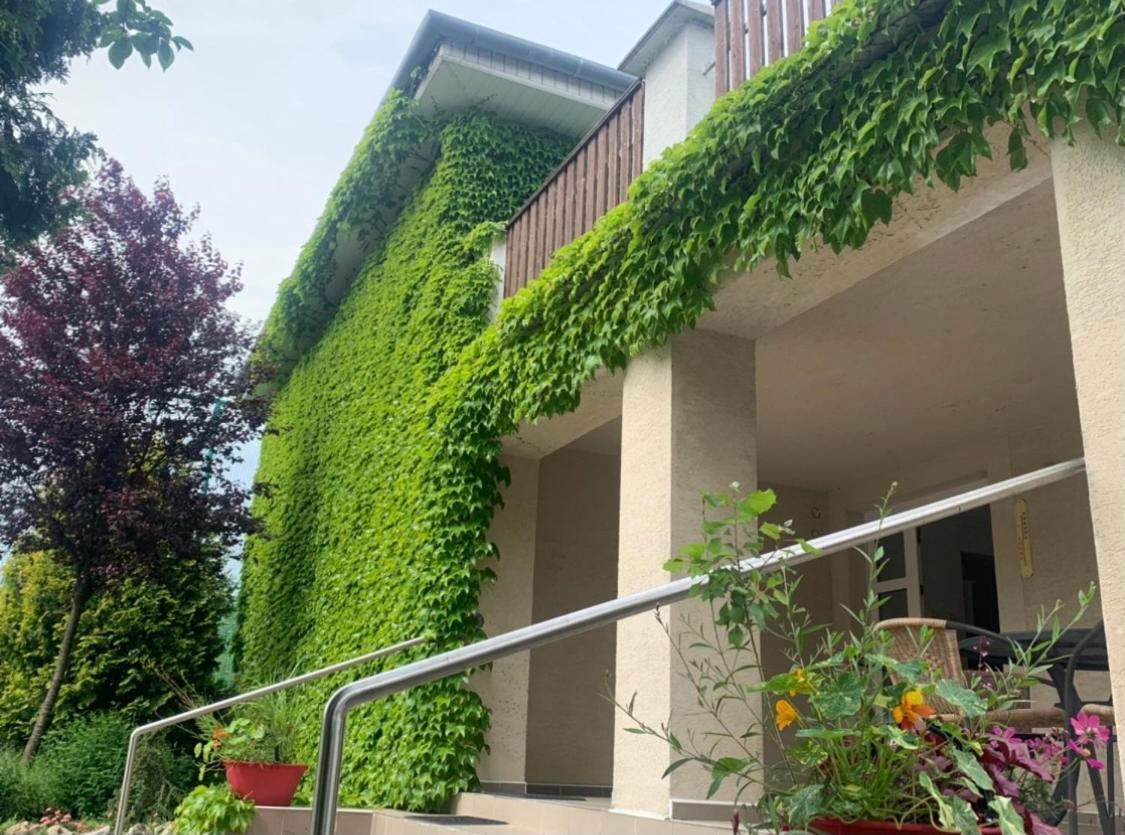 Dom V Zahrade Hotel Podhajska Bagian luar foto